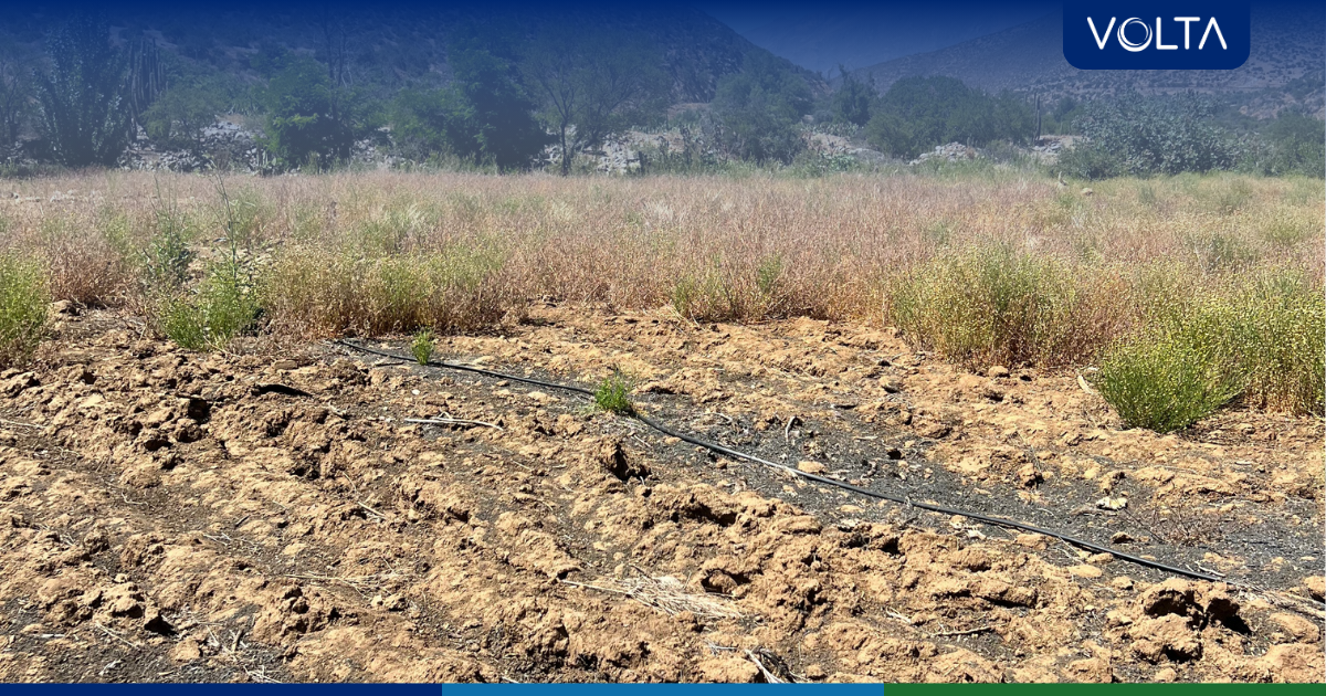 biofertilizantes y regeneración de suelos